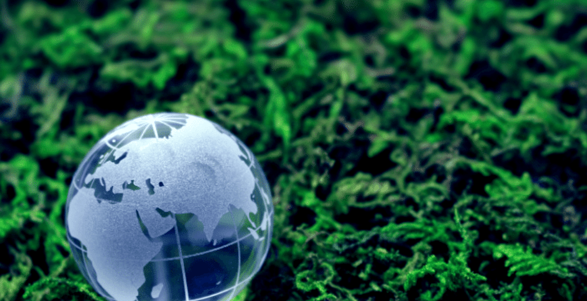 ISO 14001:2015 Çevre Yönetim Sistemi İç Tetkikçi Eğitimi