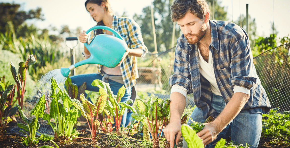 Organik Tarım Eğitimi
